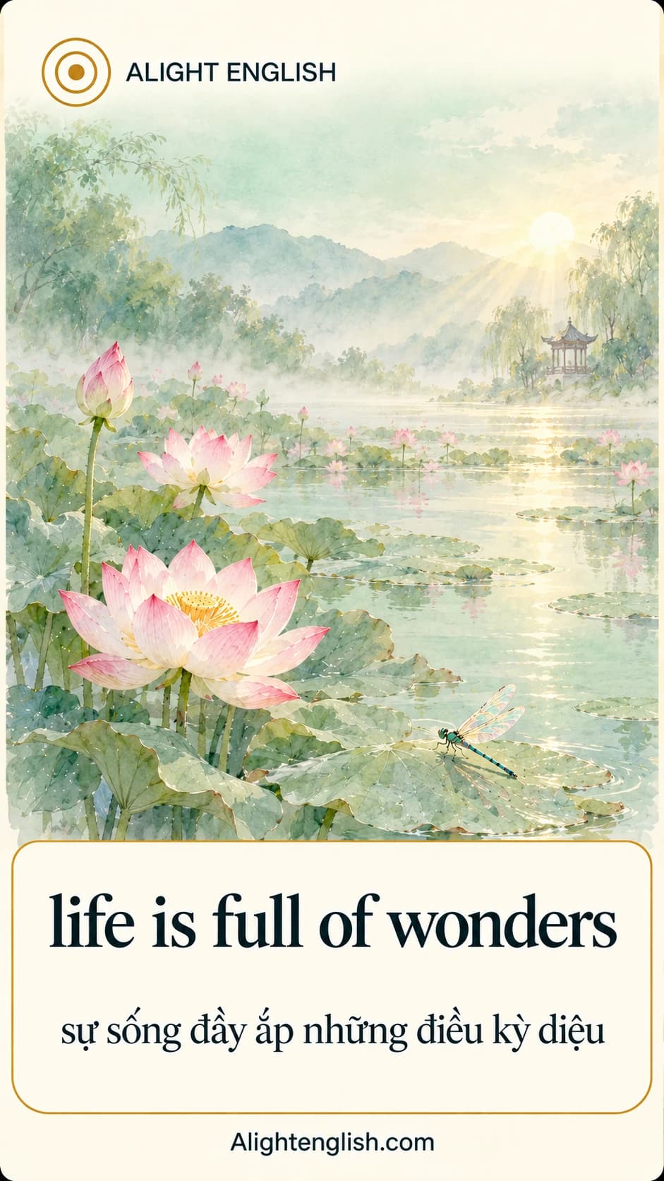 Video trích dẫn Life Is Full of Wonders
