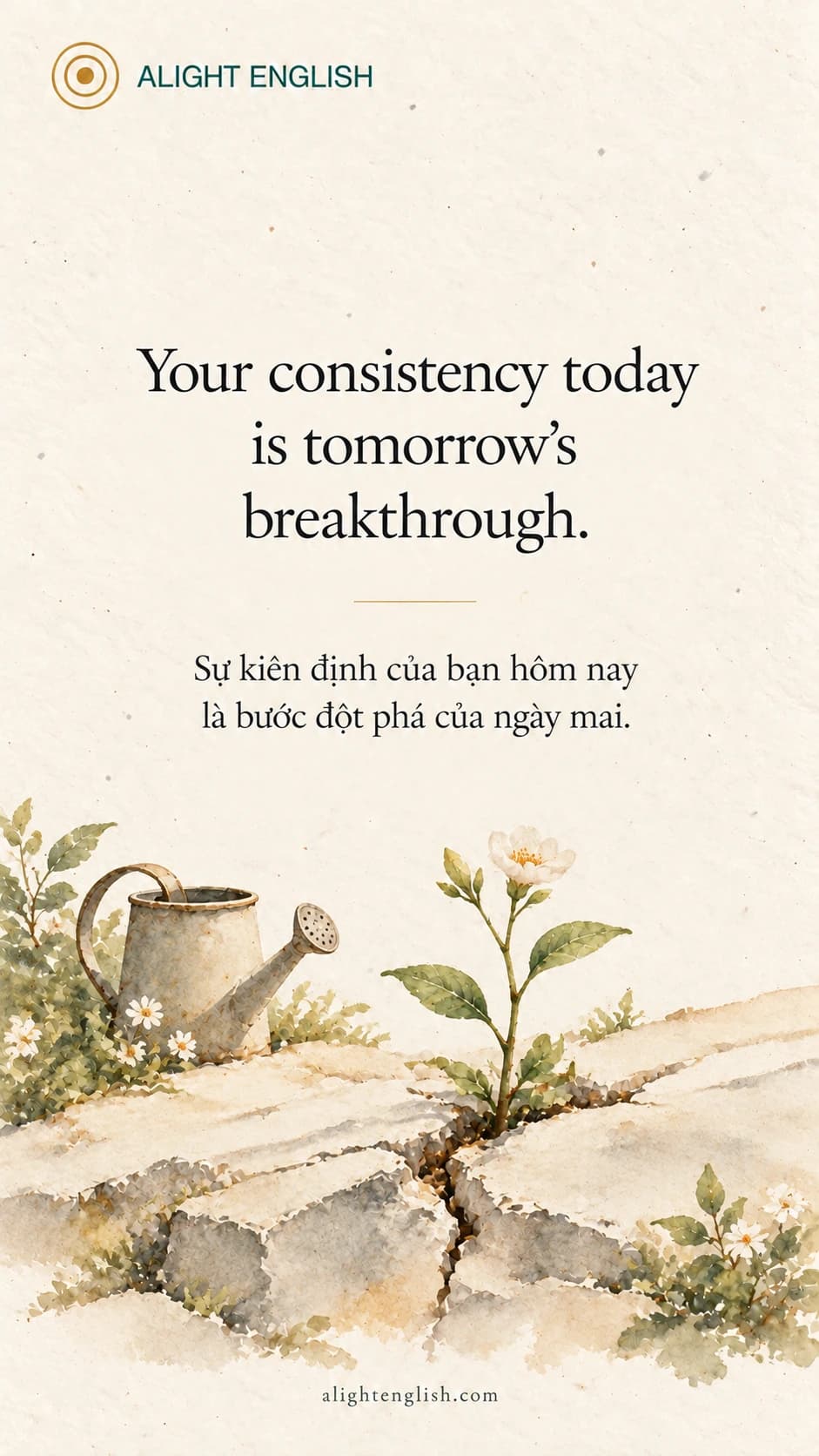 Video trích dẫn Consistency